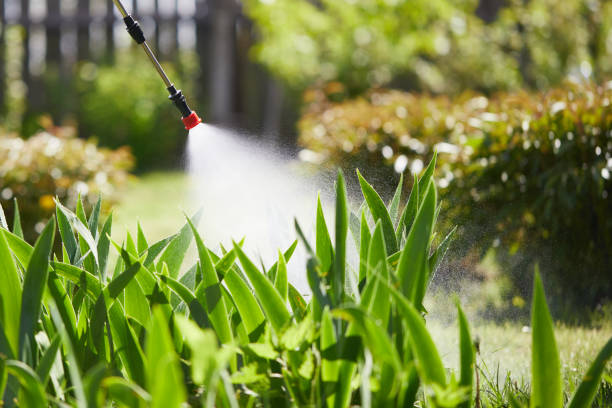 Void Injection for Cockroach Colonies in Uvalde Estates